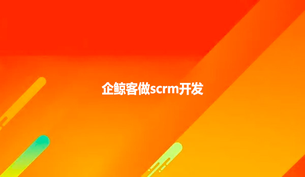 企鲸客做scrm开发