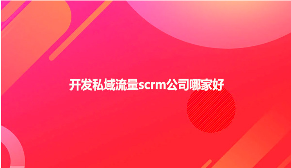 开发私域流量scrm公司哪家好